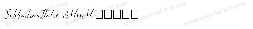 SebbastianItalic 8MxxM字体转换